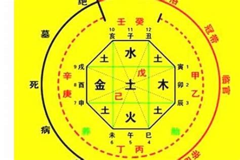 生辰算命天運|生辰八字算命、五行喜用神查询（免费测算）